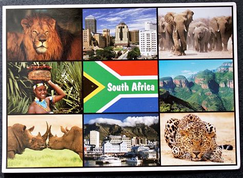 Postcards Letters And Stamps South Africa Postcard