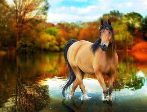 48 Horse Desktop Wallpaper Themes