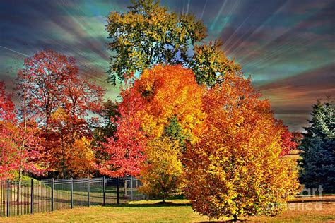 Autumn Splendor Photograph By Judy Palkimas Fine Art America