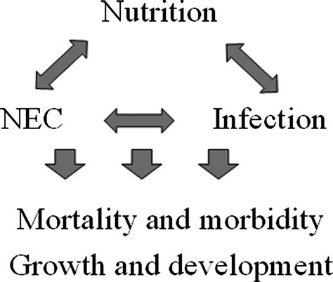 Early Enteral Feeding Strategies For Very Preterm Infants Current