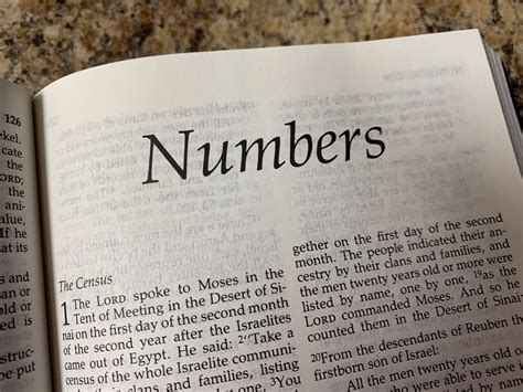 Jesus In The Book Of Numbers Bible Study Series