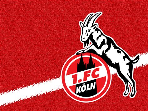 Für alle mitglieder und fans des 1. 1. FC Köln #003 - Hintergrundbild