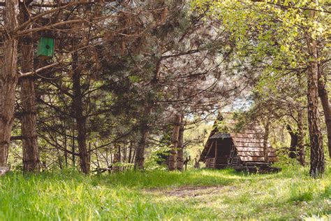 A Shack In The Woods · Free Stock Photo