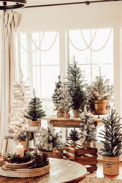 Three Potted Christmas Trees Sitting On Top Of A Table In Front Of A Window