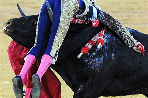 Horror As Matador Gets Gored By Bull And Now Fights For Life Plus