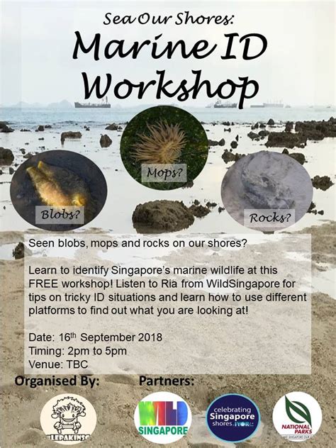 Celebrating Singapore Shores 16 Sep Sun Marine Identification Workshop