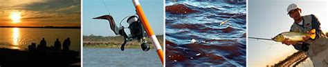 Si boca fuera perfecto, se llamaría hoy es el # diadelanimal en argentina. Sport fishing in Argentine littoral: Dorado fishing