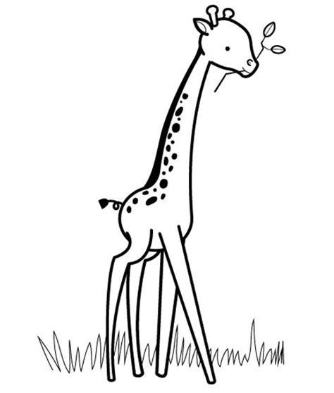 Imprimir: Jirafa: dibujo para colorear e imprimir