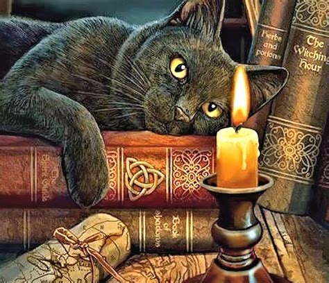 Cat And Candle Art Books Candle Cat Hd Wallpaper Peakpx