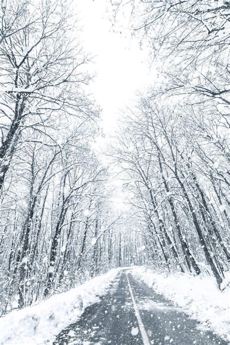 Winter Forest Snow Road Forest Road Winter Snow View Stock Photo