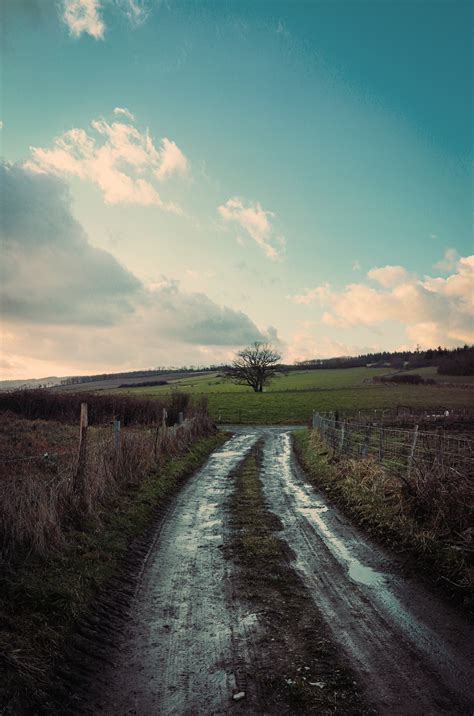 Photo Of Dirt Road During Daytime · Free Stock Photo