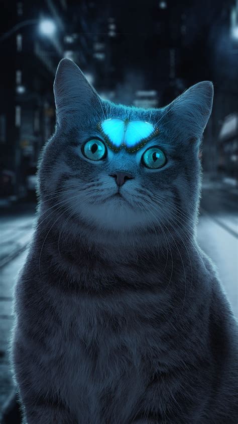 2k Free Download Glow Butterfly Cat Cute Cat Cute Cat Fantasy