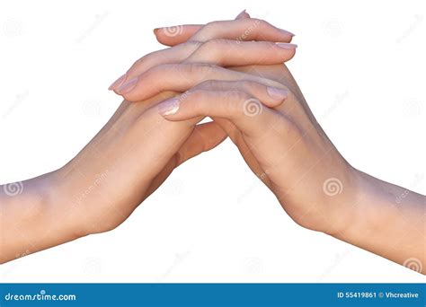 Two Hands With Interlaced Fingers Stock Image Image Of Isolated