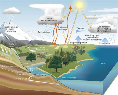 It does a great job of explaining how the water cycle works using simple language and colorful illustrations that kids will enjoy. The water cycle: Water moves continuously between land ...