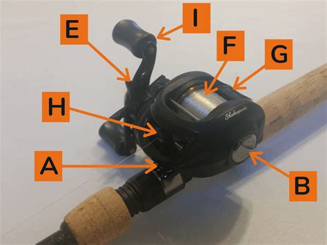 What Are The Parts Of A Baitcasting Reel Orbit Fishing