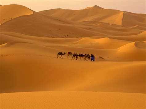 Sahara Desert World Largest Desert In Africa ~ Luxury Places