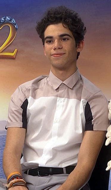 Check out this biography to know about his cameron boyce was an american actor and dancer famous for playing the roles luke ross on. Cameron Boyce — Wikipédia