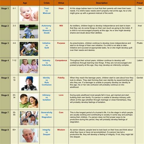 The human life cycle consists of various stages that include foetus, baby, childhood, adolescence, adulthood and elderly; Eric Erickson's Psychosocial Development Chart- The most ...