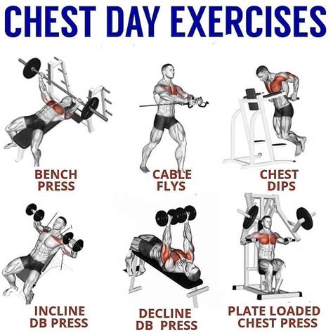 ⏰chest Day Exercises⏰ Gym Chest Workout Chest Workouts Arm Workout
