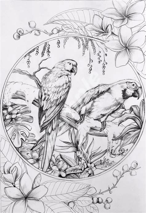 Printable Realistic Bird Coloring Pages - thiva-hellas
