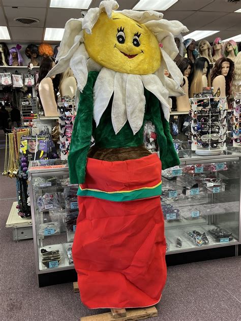 Sunflower In Pot Mascot Costume