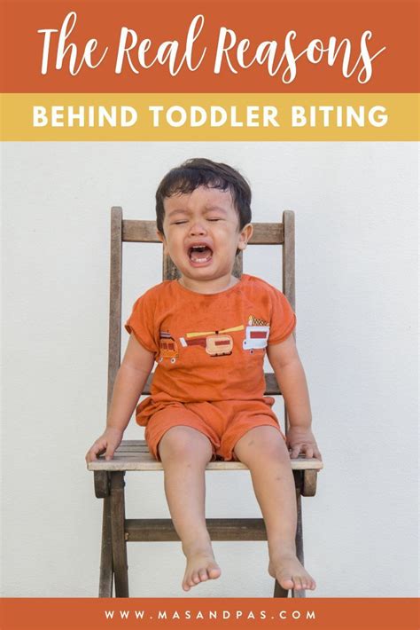 The Real Reasons Behind Toddler Biting Artofit