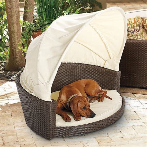 Outdoor Wicker Pet Bed With Canopy Frontgate