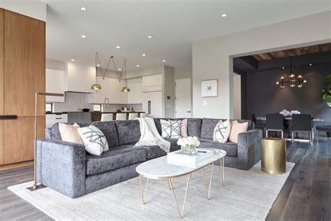 Living Room With Gray Sofa Ideas