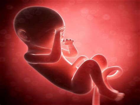 8 Months Pregnant Signssymptoms And Fetal Development