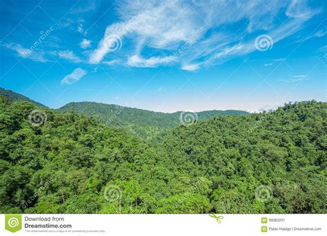 Beautiful Landscape Of The Forest In Mindo In Gorgeous Blue Sky Stock