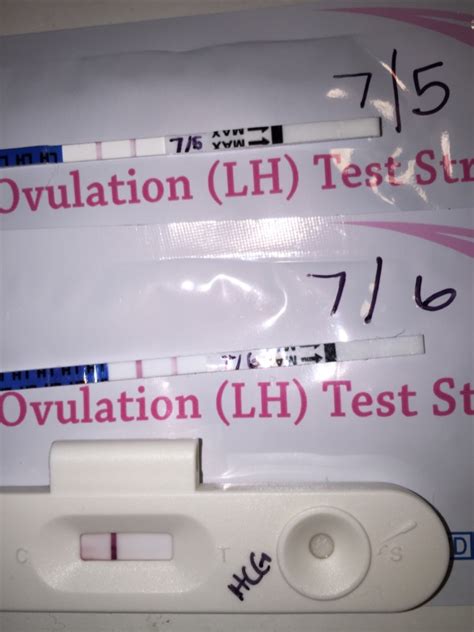 Is my ovulation test positive or negative? Positive ovulation test on "period day 1" ? - Glow Community