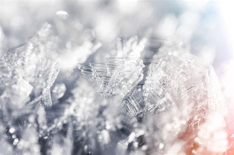 Frozen Snowflakes Winter Hoarfrost Crystals Close Up Free Stock Photo