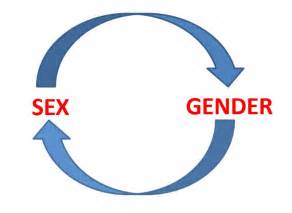 Sex And Gender Causation Break The Cycle Sex Matters