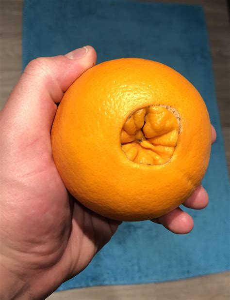 Gaping Butthole Orange Rmildlyinteresting