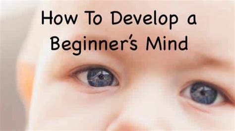 How To Live With A Beginners Mind The Art Of Zens Shoshin Practice