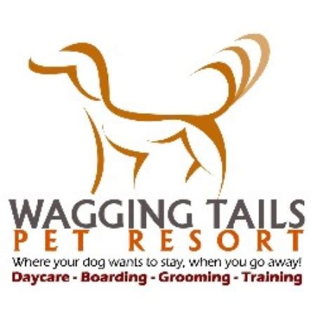Our convenient location in eagan, mn specializes in dog daycare, dog boarding, grooming, and obedience training. Wagging Tails Pet Resort Saint Paul, Minnesota 55121