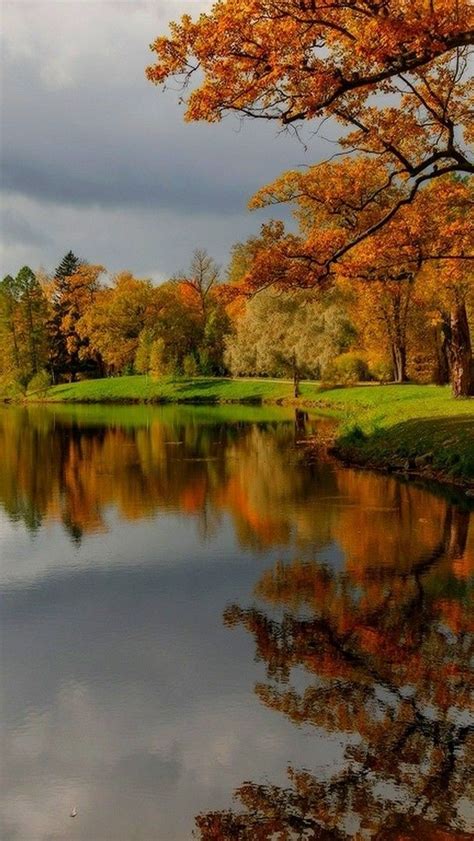 Autumn Trees Reflected In The Lake Wallpaper Backiee