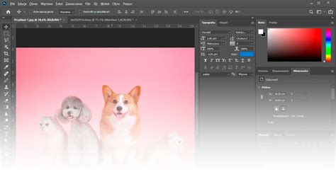 Adobe Photoshop Cc 2020 Nowości I Ulepszenia Wersji 21 Photoshopa