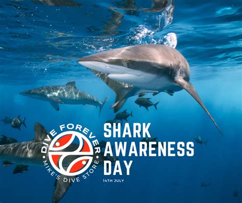 Shark Awareness Day Why It Matters And What You Can Do To Help Mikes