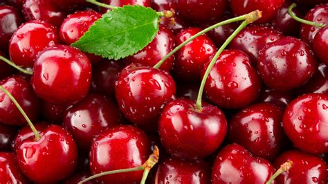 How To Pick Out The Best Fresh Cherries
