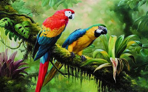 Macaw Parrot Wild Birds From Jungle Rainforest Swamp Green Dense