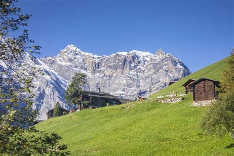 Snowcapped Bernese Swiss Alps And Alpine Farms Switzerland Stock Image