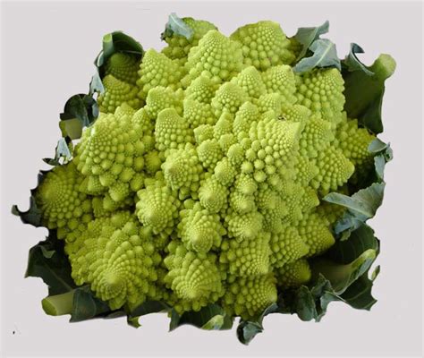 Other Products Eu Vegetable Coliflower Romanesco Theodore