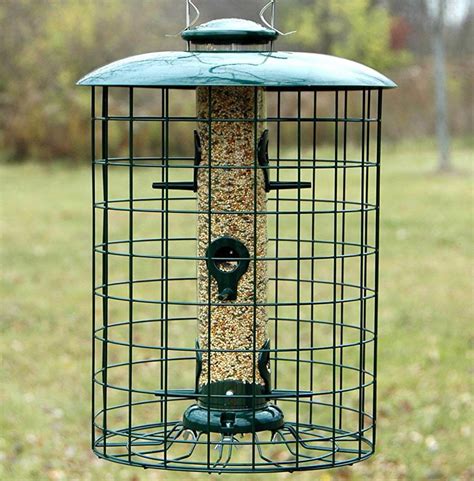 7 Best Bird Feeders For Small Birds In My Backyard 2020 Bird Watching Hq