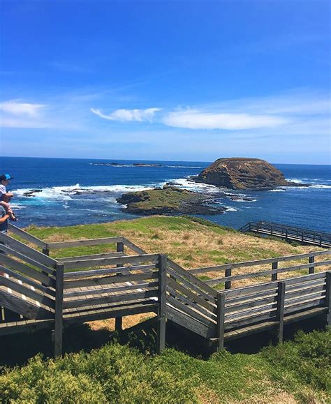 Insiders Travel Guide To Phillip Island Melbourne Girl Cool Places