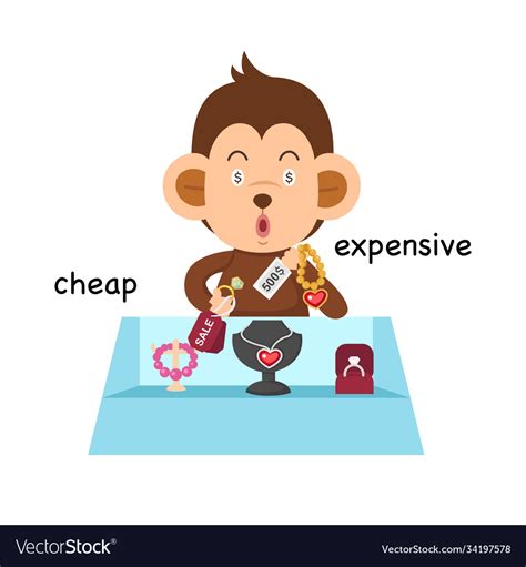 Opposite Cheap And Expensive Royalty Free Vector Image