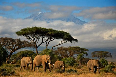 Kenia Rundreise Diese 20 Abenteuer Darfst Du In Kenia Nicht Verpassen