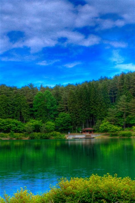 Wallpaper Forest Green Lake Blue Sky Clouds 2560x1600 Hd Picture Image