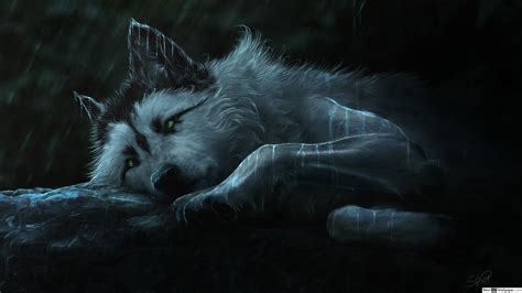 Best Wolf Wallpaper K X Wallpaper Teahub Io