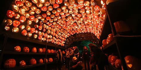 29 Best Fall Harvest Festivals And Fairs Across The United States